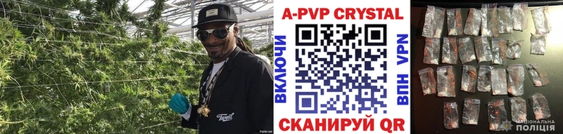 где купить наркоту  мега зеркало  A-PVP кристаллы  Борисоглебск 