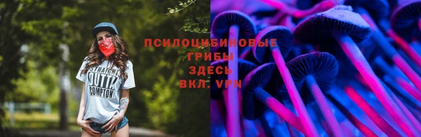 не бодяженный Белокуриха