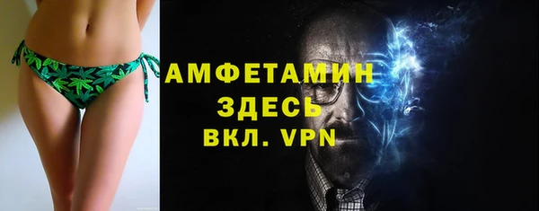прущие грибы Вязники
