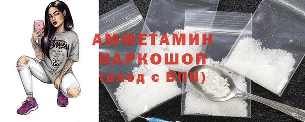 прущие грибы Вязники