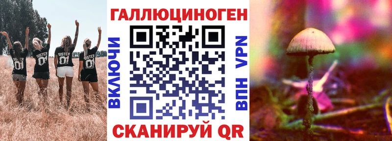 Псилоцибиновые грибы Cubensis  закладки  Борисоглебск 